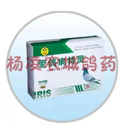 爱鸽痢特灵 新型广谱高效抗菌药物，呵护信鸽健康更放心